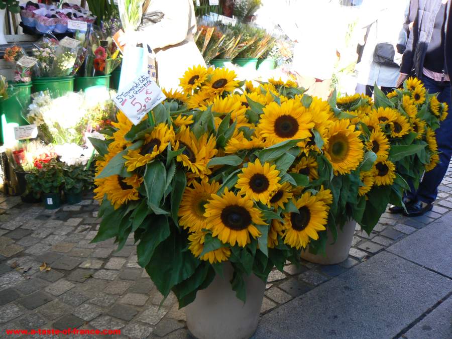Market square in Hesdin