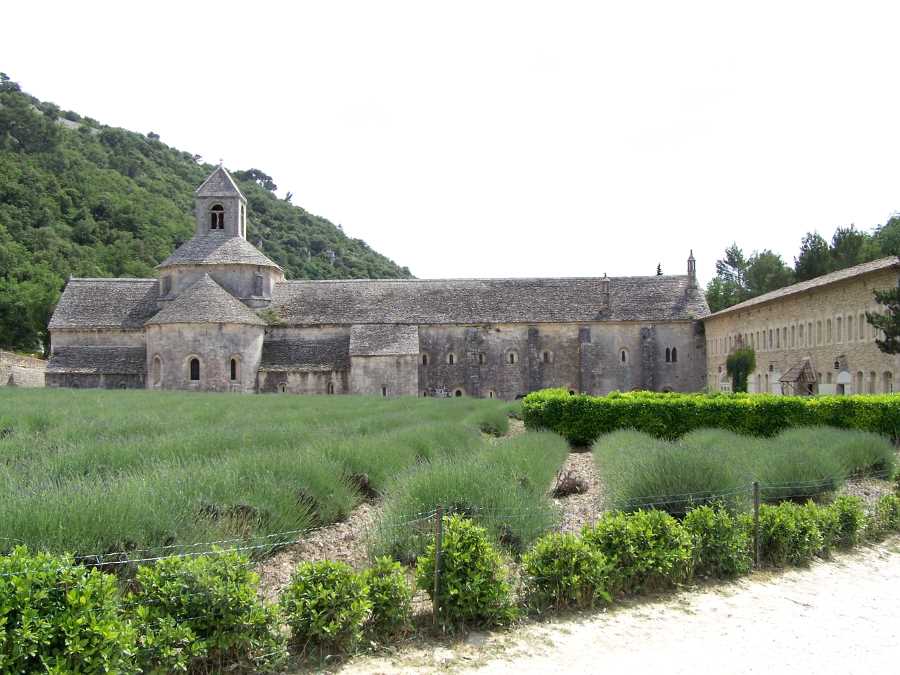Senanque Abbey  Provence France