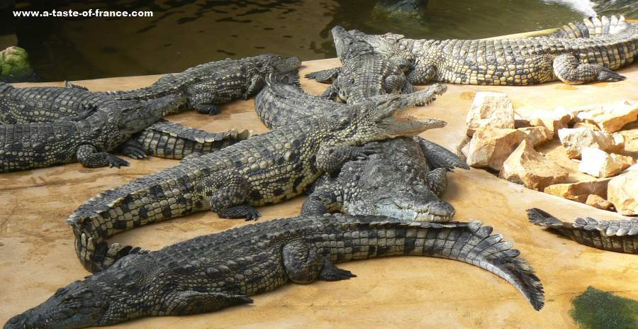  Alligator Bay Normandy 