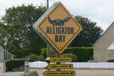 Alligator bay sign manche Normandy