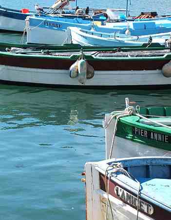 Antibes Harbour picture