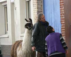 Ardres xmas market picture 