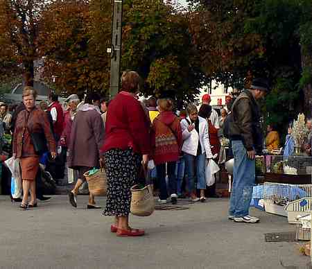 Audruicq market picture 3