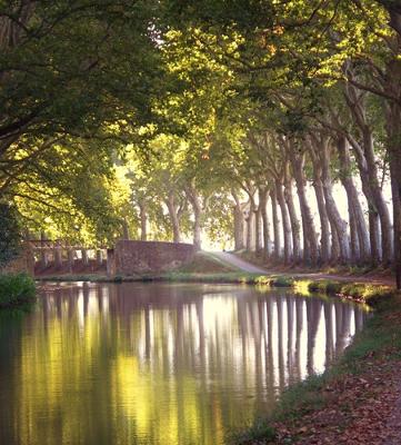 Approaching Millepetit