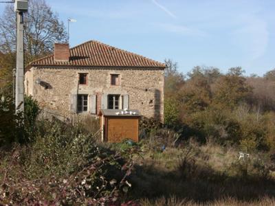 house surrounded by forest