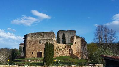 Castle Chateau de Clerans Dordogne for sale