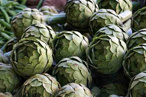 artichoke picture