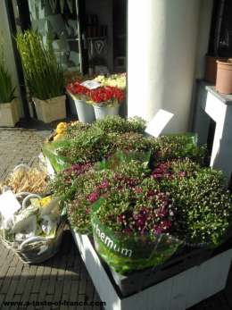 Flower shop Holland