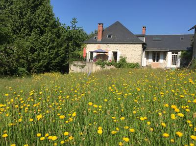 garden view of the house
