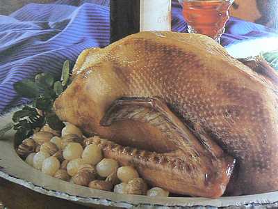 roast goose picture