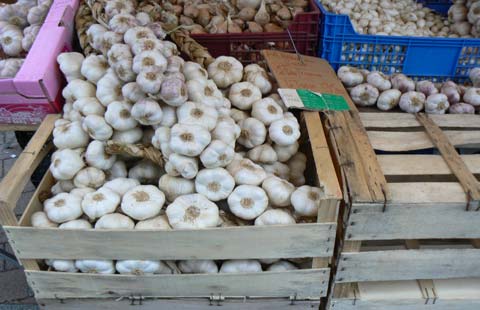 Granville market garlic stall Manche Normandy