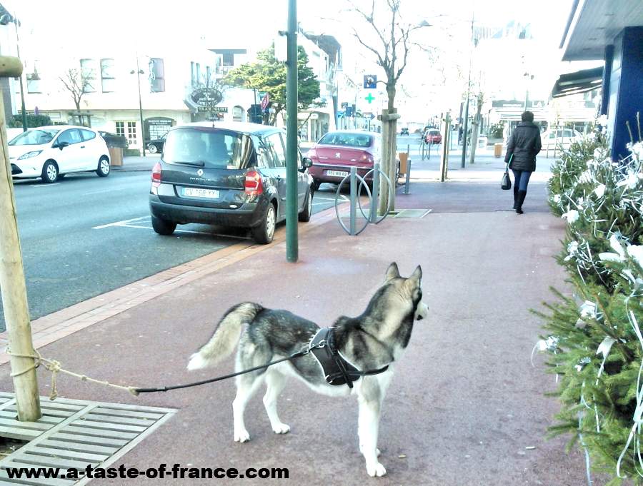 Hardelot Plage town centre
