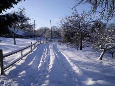 Driveway in snow
