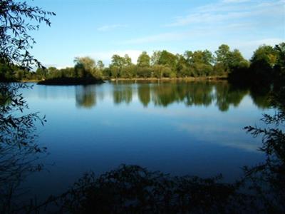 French Business Development Opportunity with Carp Lake Â£250,000 with 22 acres 10 minutes from the medieval town of Parthenay, Poitou 