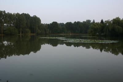 view of lake