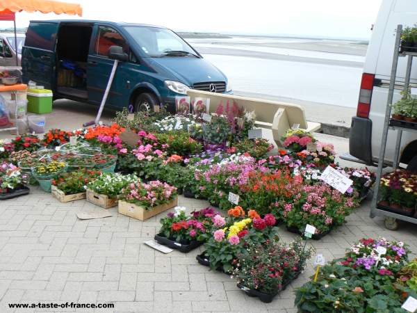 Le Crotoy market 