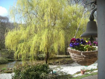 The view from the Moulin's front door