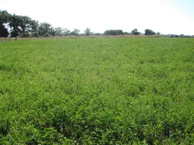 Building Plot Ledergues