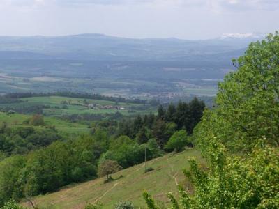 View from the garden