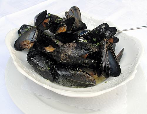 mussels in wine picture