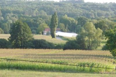 View from the back garden