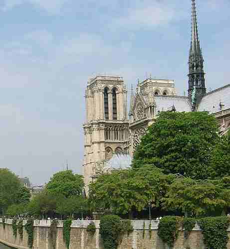 Notre dame Paris picture