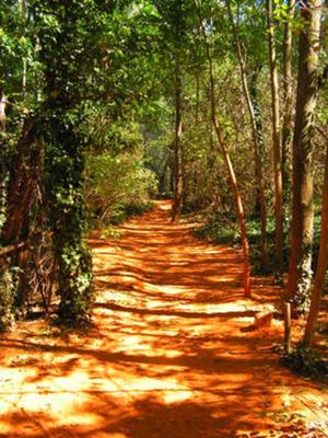 Ochre mine Roussillon