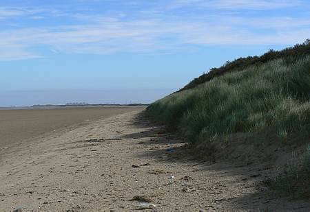 oye plage France picture 4