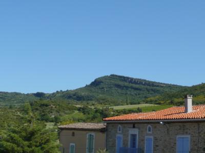 View from the garden