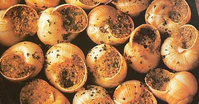 snails alsace picture