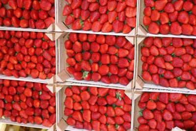 Strawberry stall