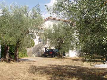 The villa set among the olive trees