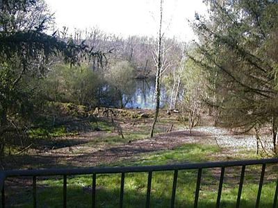 view of lake from lodge