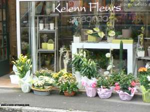 Plouescat flower shop Brittany 