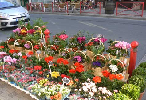Cormeilles Normandy flower market