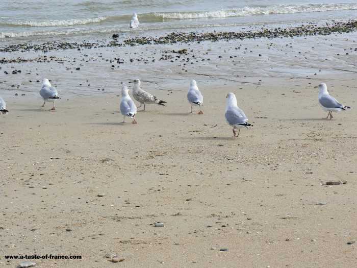 Ravenoville Plage village in Normandy 